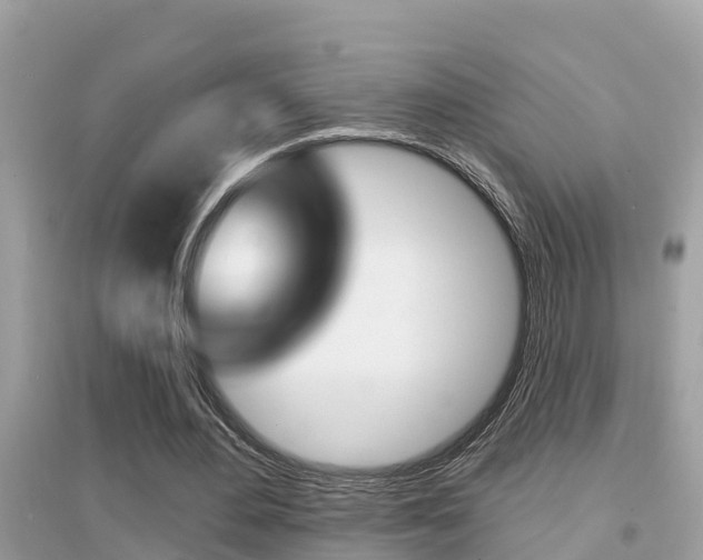 X0000095110484200712070923
