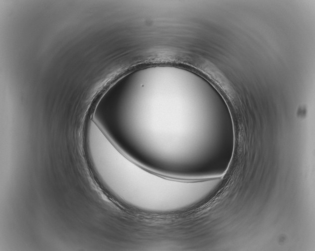 X0000095110485200712070923