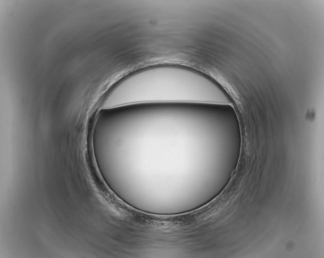 X0000095110486200712070923