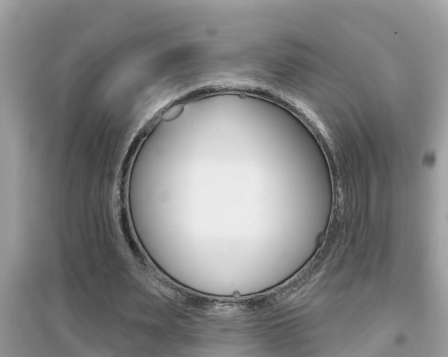 X0000095110487200712070923