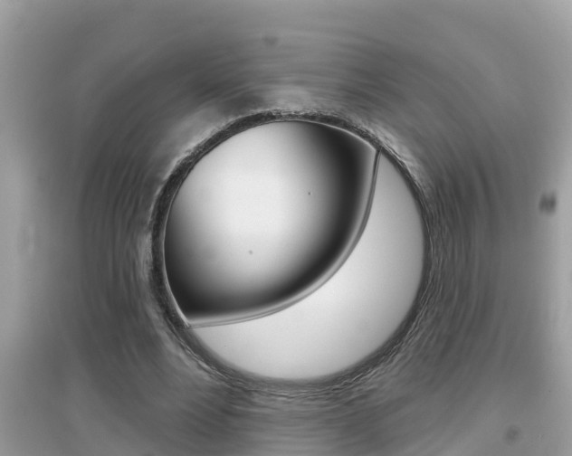 X0000095110488200712070923