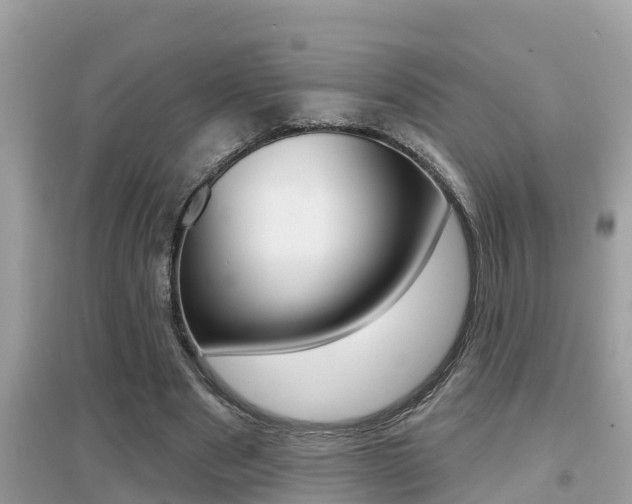 X0000095110489200712070923