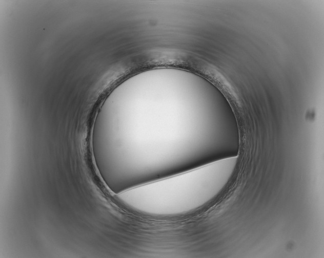 X0000095110490200712070923