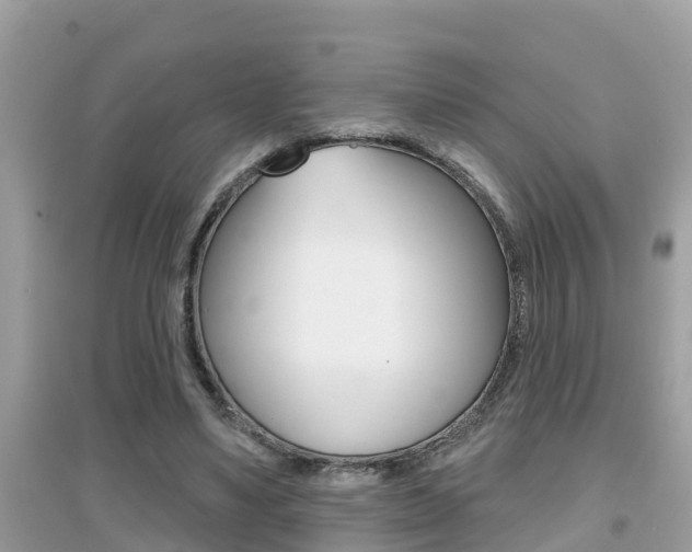 X0000095110491200712070923