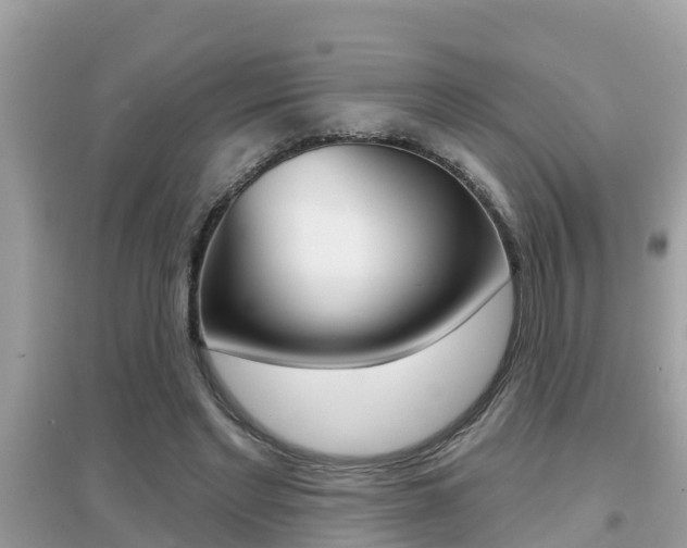 X0000095110493200712070923