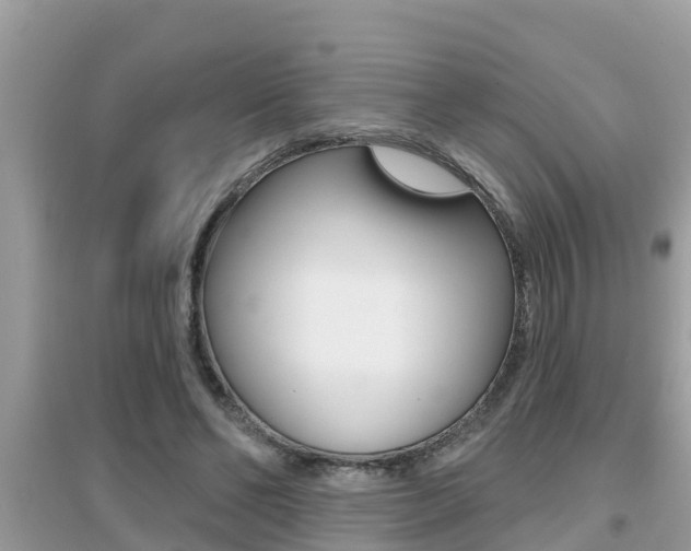 X0000095110494200712070923