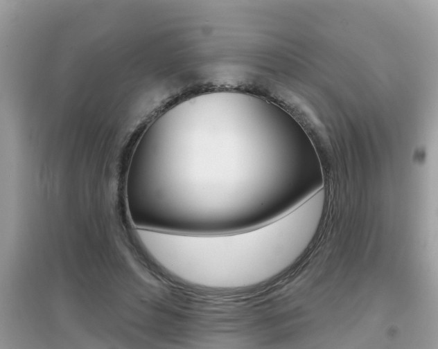 X0000095110496200712070923