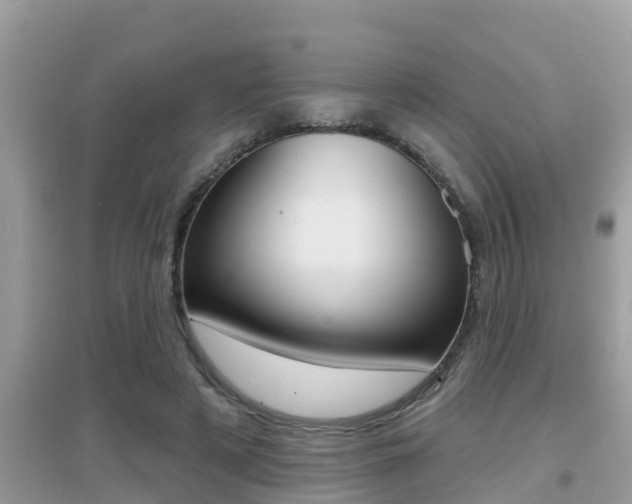X0000095110497200712070923