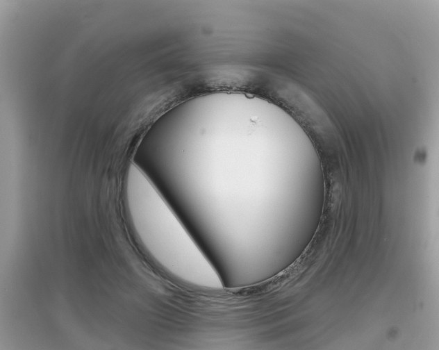 X0000095110498200712070923