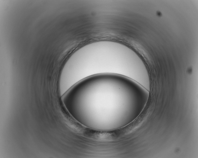 X0000095110501200712070922
