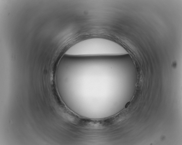 X0000095110502200712070922