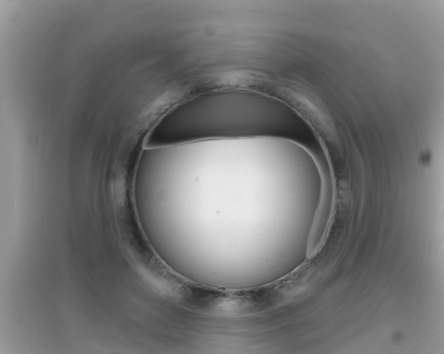 X0000095110504200712070922