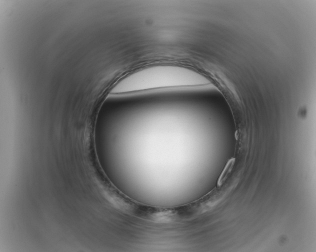 X0000095110505200712070922