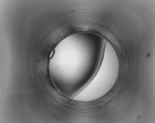 X0000095110509200712070922