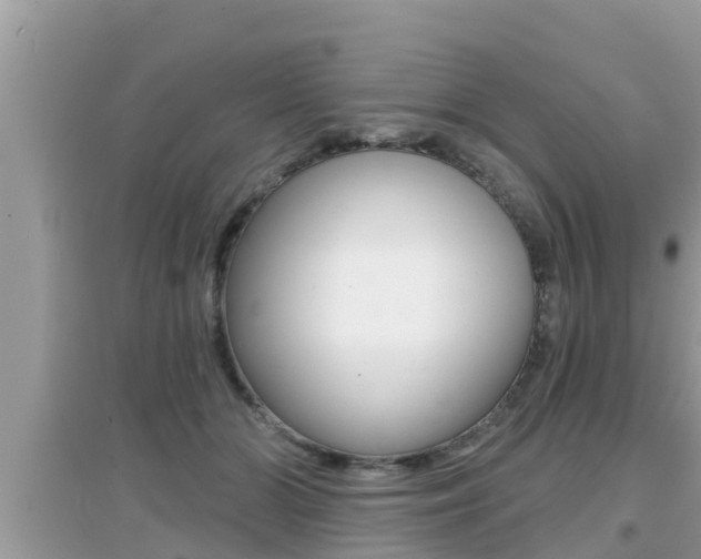 X0000095110510200712070922
