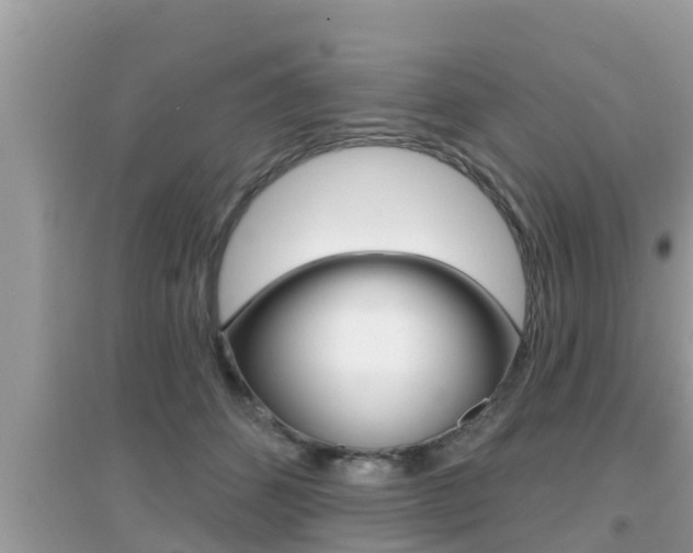 X0000095110512200712070922