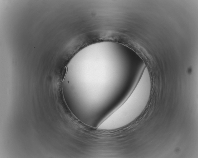 X0000095110513200712070922