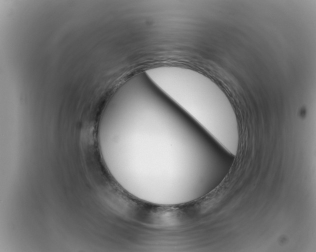 X0000095110514200712070922