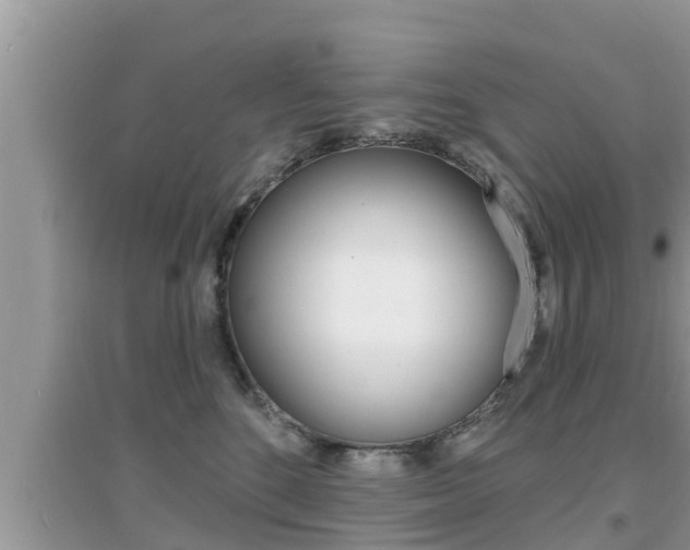 X0000095110520200712070922