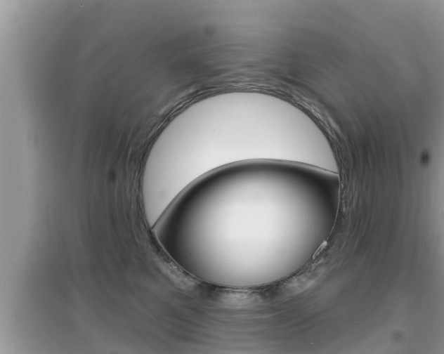 X0000095110521200712070922