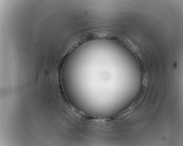 X0000095110524200712070922