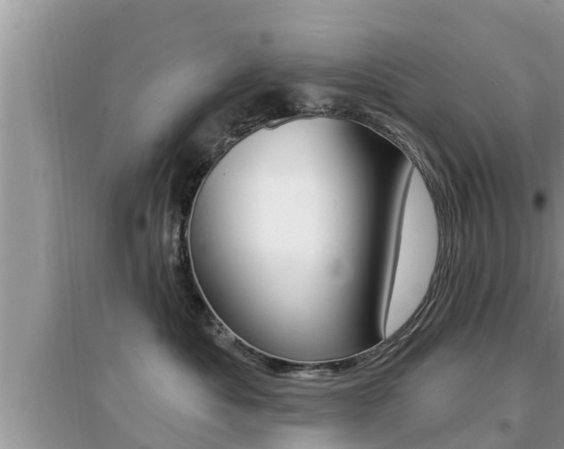 X0000095110525200712070922