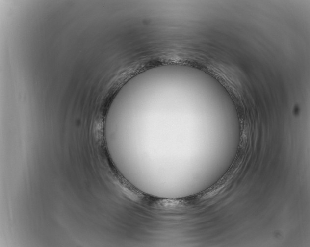 X0000095110526200712070922