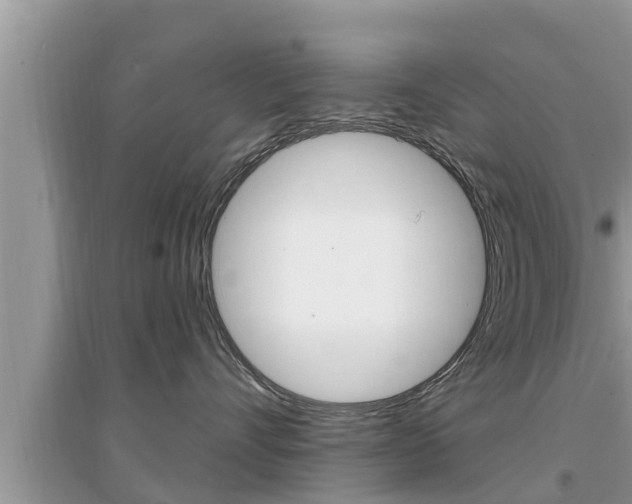 X0000095110528200712070922