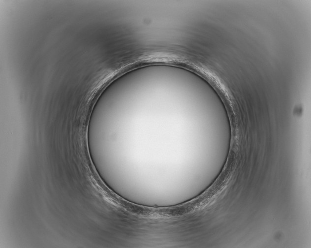 X0000095110529200712070921