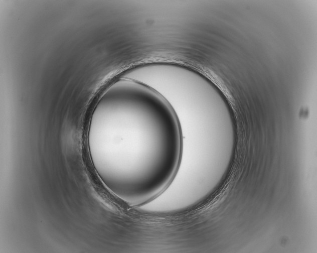 X0000095110530200712070921