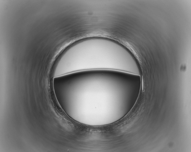 X0000095110531200712070921