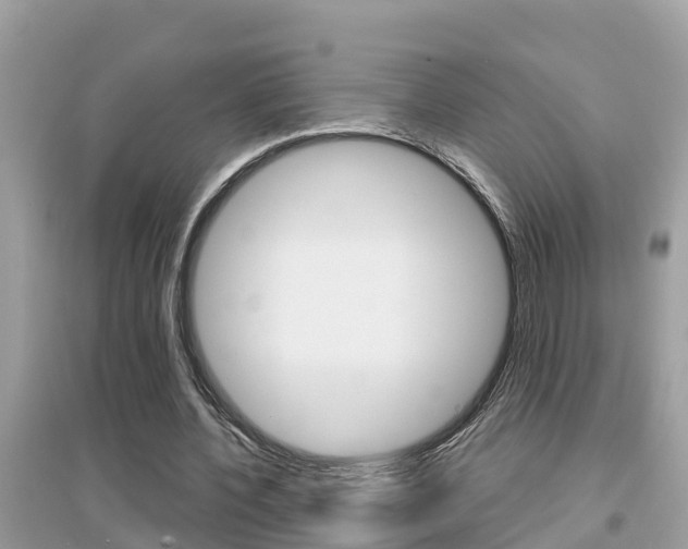 X0000095110532200712070921