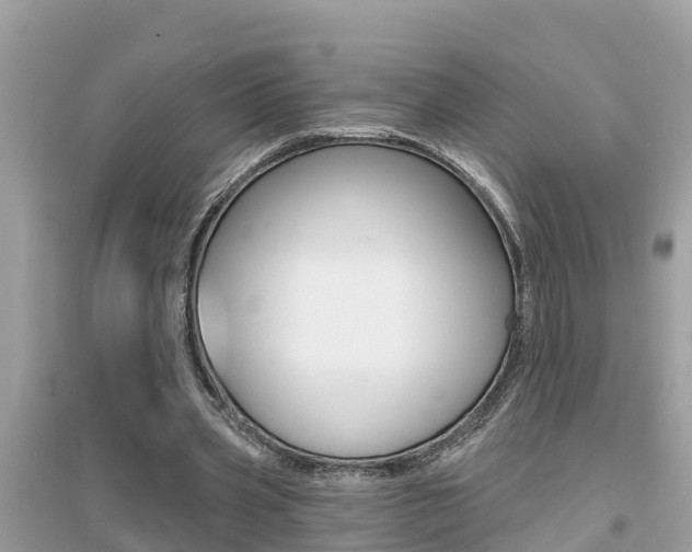 X0000095110533200712070921