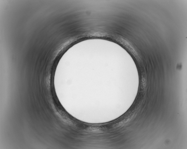 X0000095110534200712070921