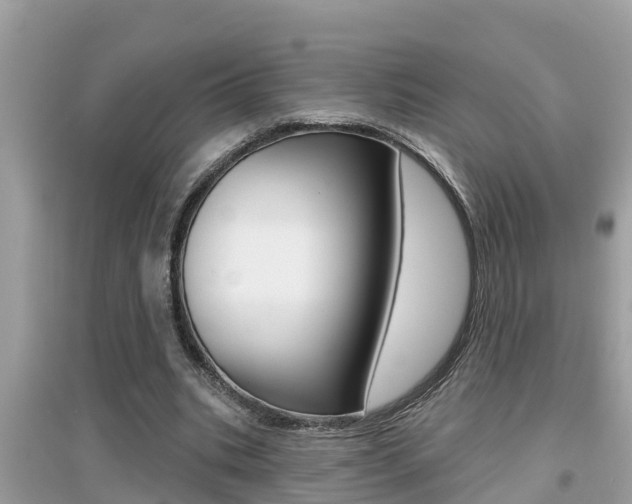 X0000095110535200712070922