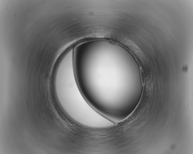 X0000095110536200712070922
