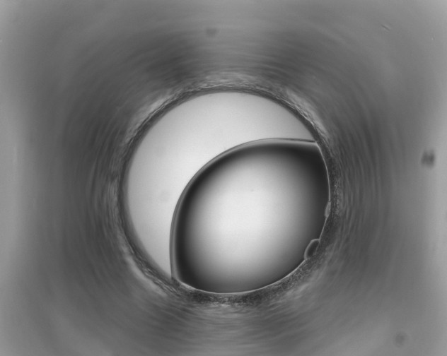 X0000095110538200712070922