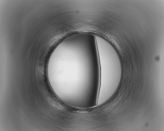 X0000095110539200712070922