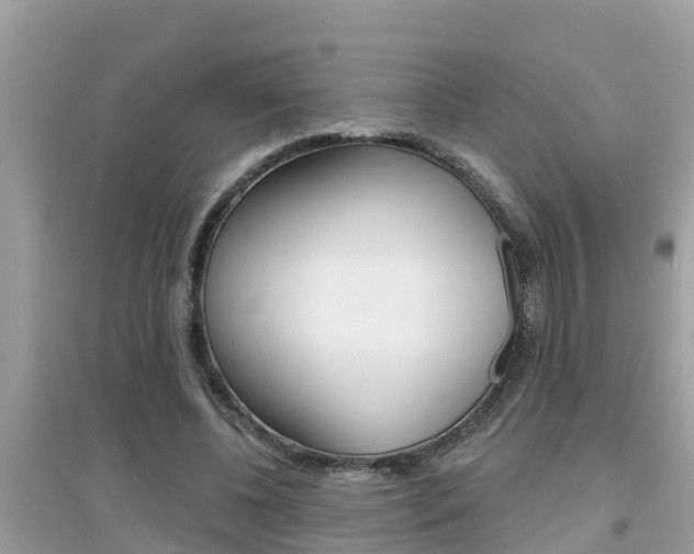 X0000095110540200712070922