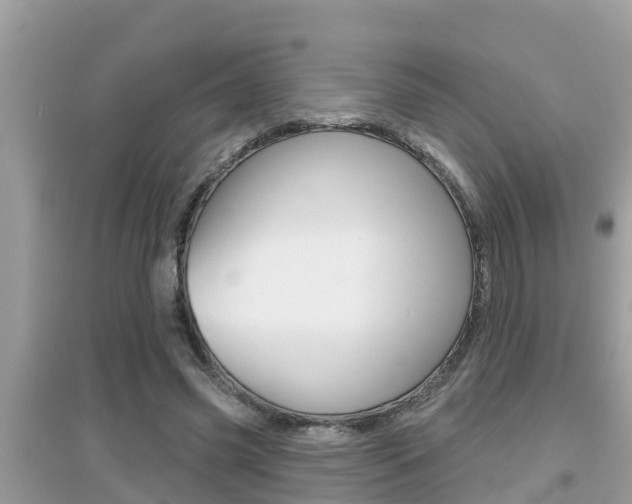 X0000095110541200712070922