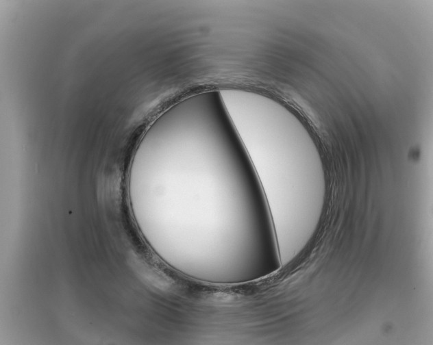 X0000095110542200712070922