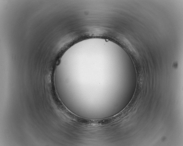 X0000095110543200712070922