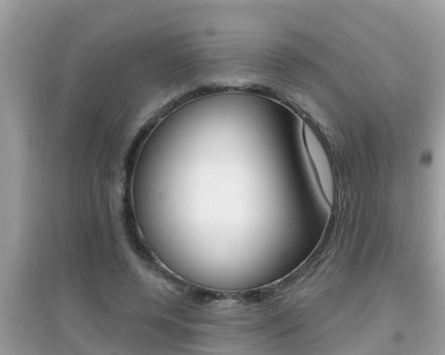 X0000095110544200712070922