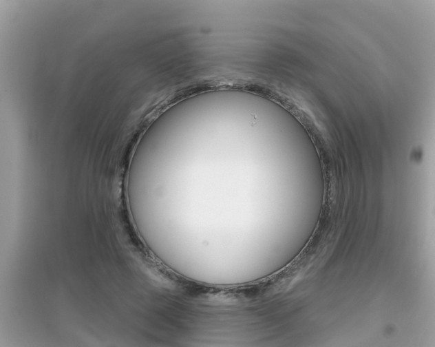 X0000095110545200712070922