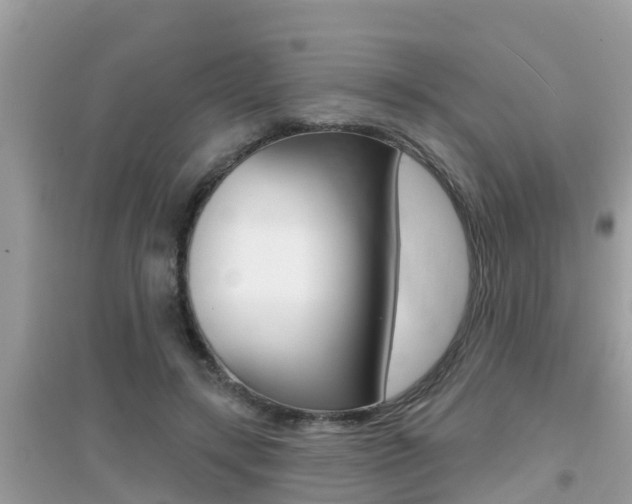 X0000095110547200712070922