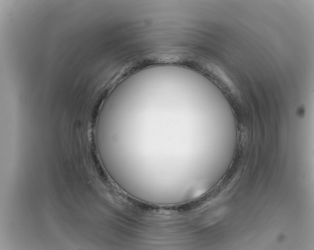 X0000095110549200712070922