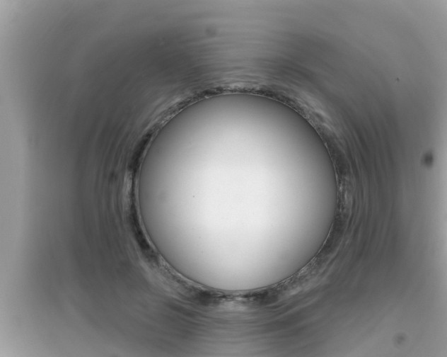X0000095110550200712070922