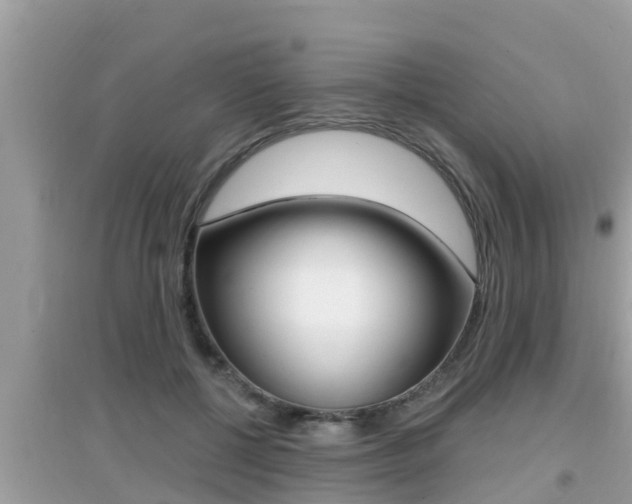 X0000095110552200712070922