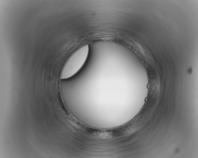 X0000095110553200712070922