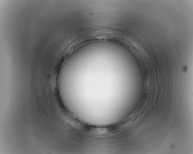 X0000095110554200712070922